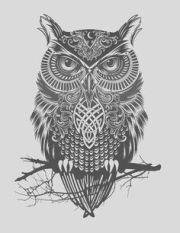 Wisdom I