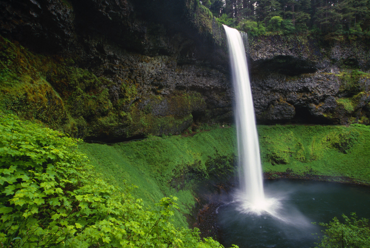 Waterfall and Foliage