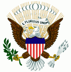 American Paradox III