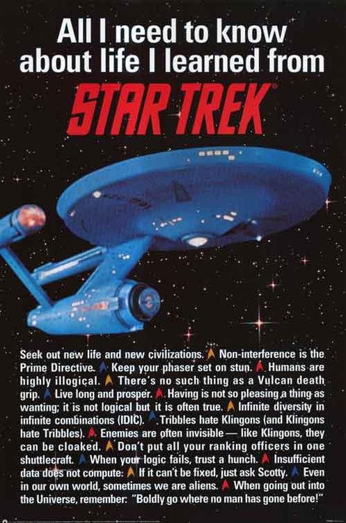 Everything I Needed To Know