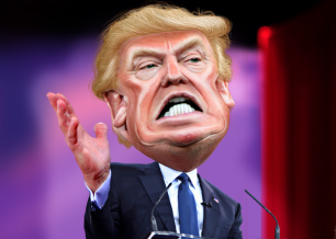 politics IV